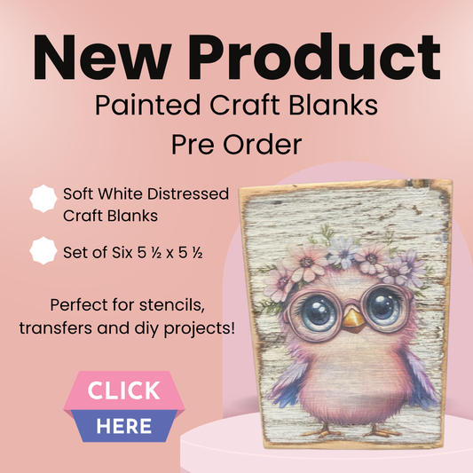Painted Craft Blanks set of 6